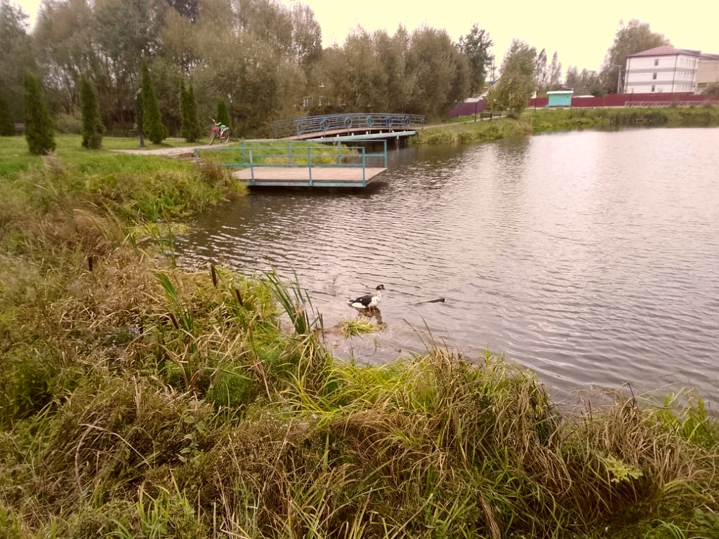 Неделя 21.09–27.09