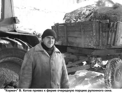 Стайки - Владимир Семенович Котов