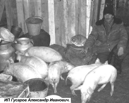 О мерах по снижению напряжённости на рынке труда